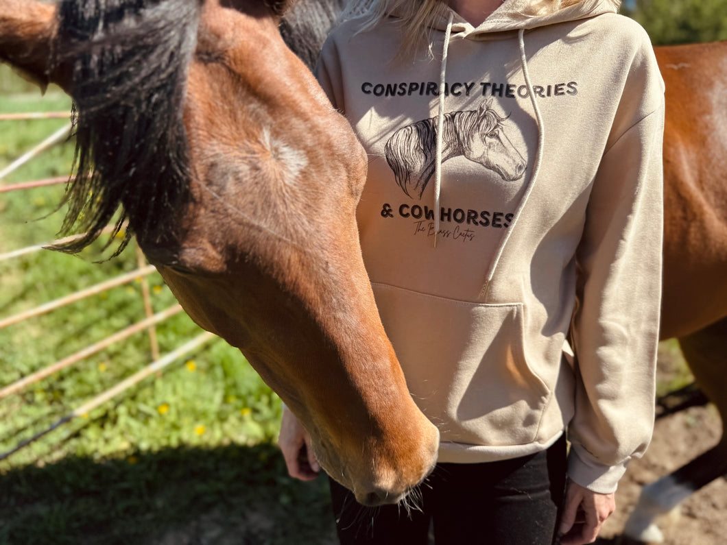 Conspiracy Theories & Cowhorses Hoodie
