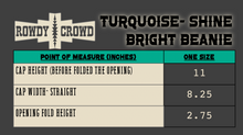 Load image into Gallery viewer, TURQUOISE-Shine Bright Beanie
